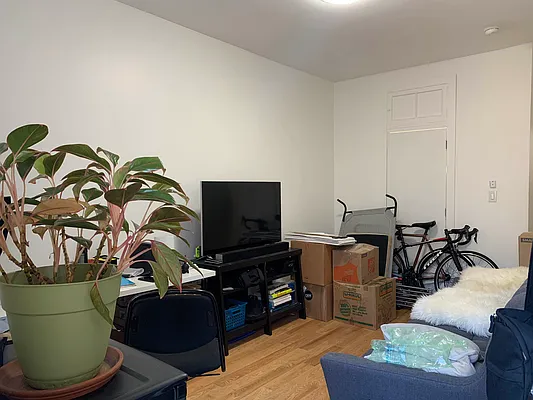 Rented by Rentopia | media 43