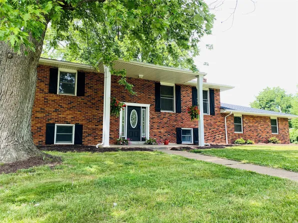 1409 Ann St, Farmington, MO 63640