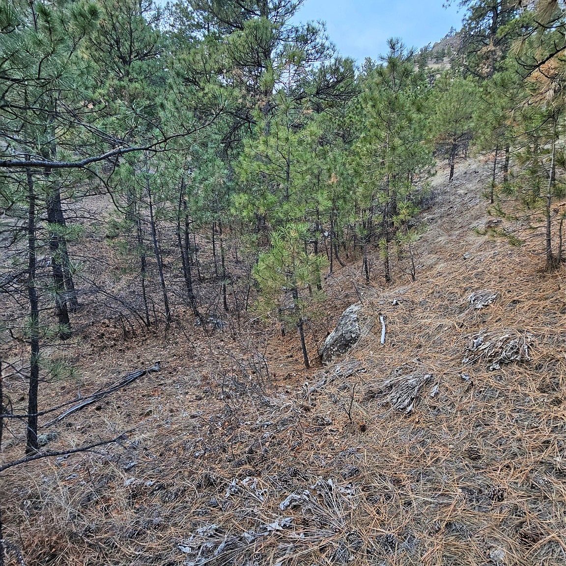 Nhn Pryor Creek Ln, Cascade, MT 59421 MLS 30017139 Zillow