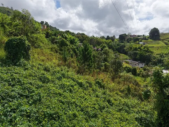 PR 772 KM 4.9 CAÑABON WARD, BARRANQUITAS, PR 00794