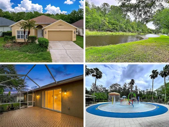 27509 Edenfield Dr, Wesley Chapel, FL 33544