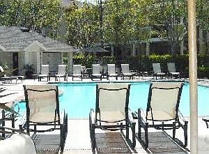 5th image of 23412 Pacific Park Dr Unit 24B