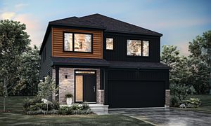 Contemporary Elevation Rendering