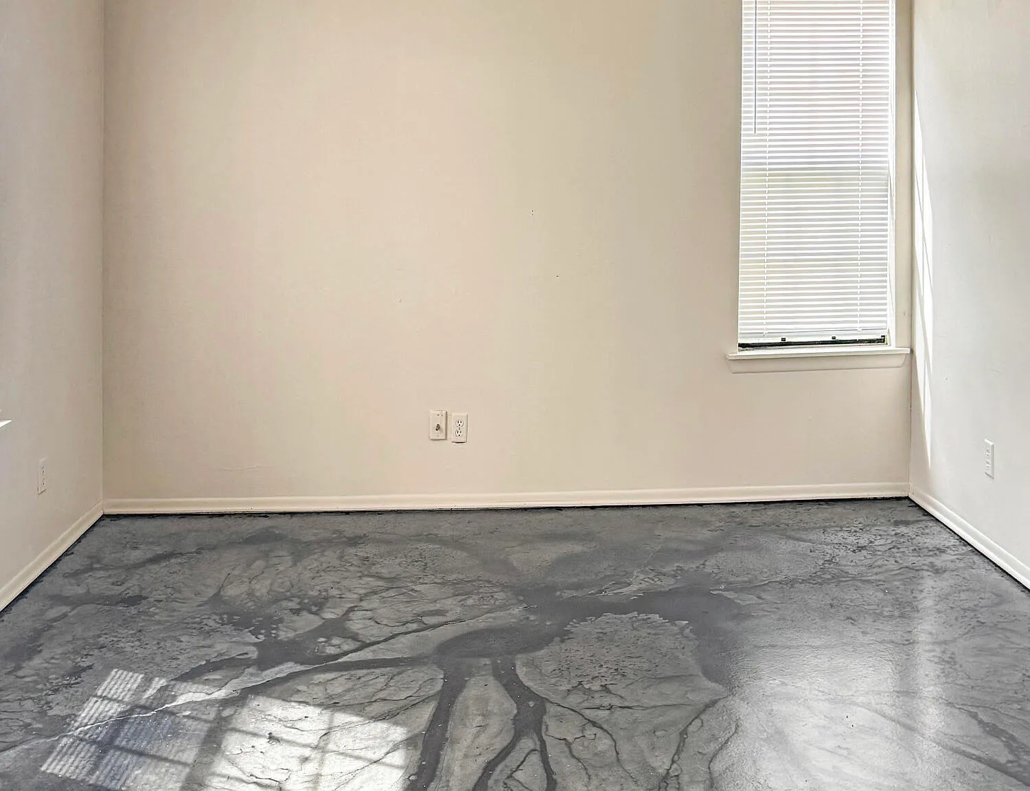 2 bed, 1.5 bath, 900 sqft, $975 — Photo 2