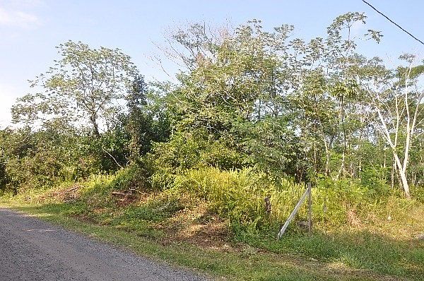1st image of 15th Ave Lot 954