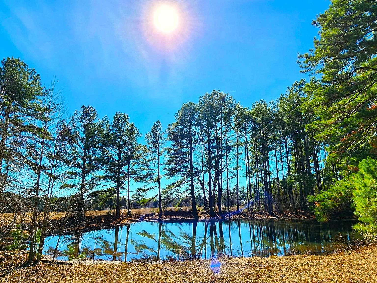 645 Rambling Rose Ln, Pineland, TX 75968 Zillow