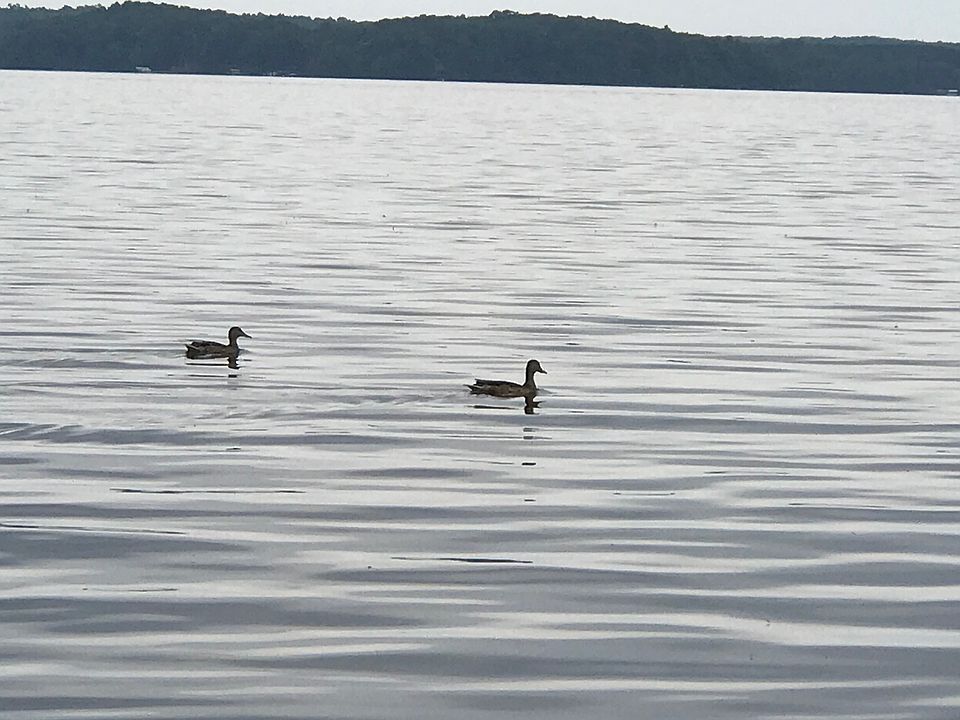 1st image of 1931 Sabinois Point Dr