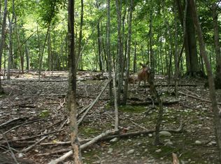 834 Brotherton Rd, Jefferson City, TN 37760