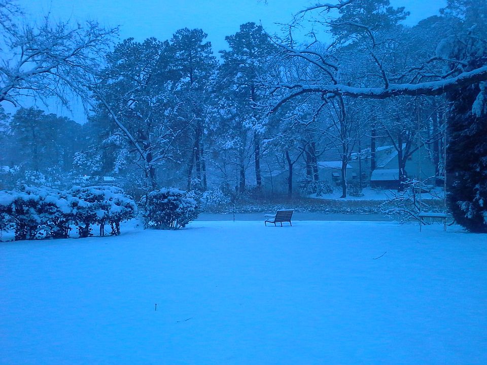 Winter wonderland backyard