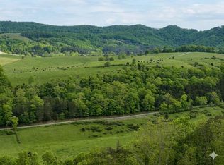 594D Little Wolf Creek Rd, Hinton, WV
