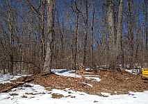 2nd image of 18 Woodland Dr