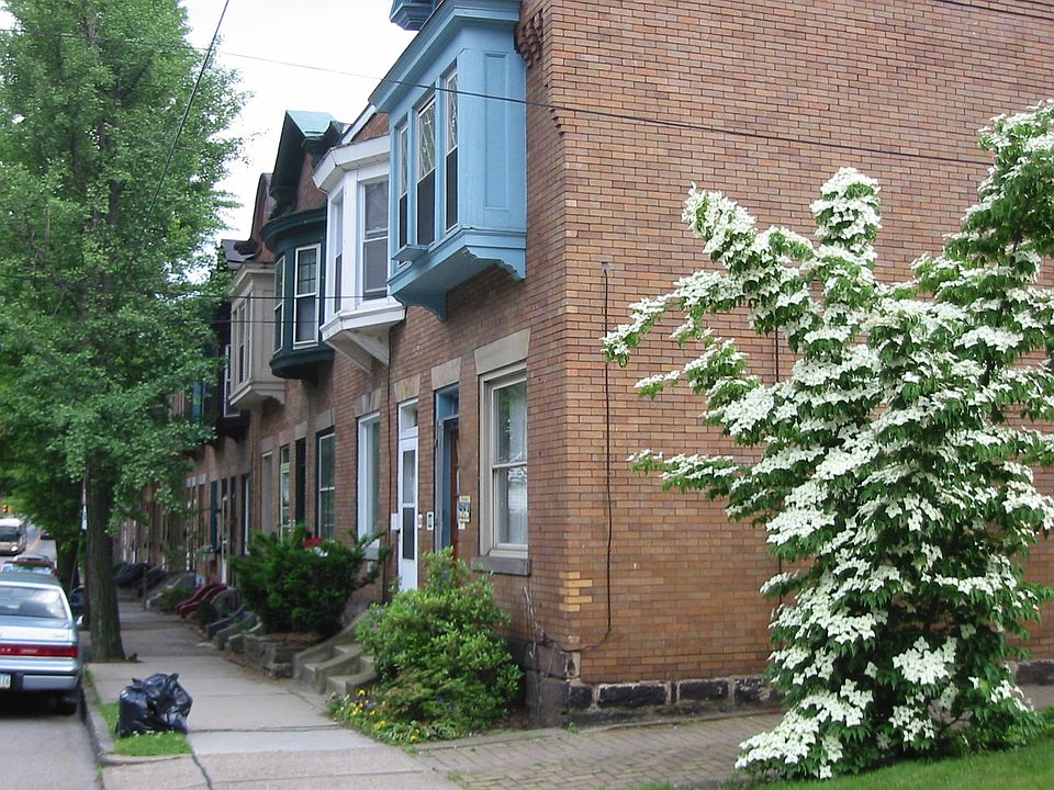 Front view from Wilkins Ave
