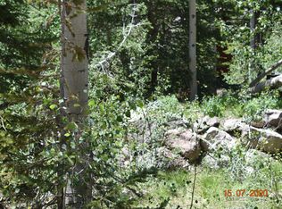 251 N Forest Dr, Brian Head, UT 84719