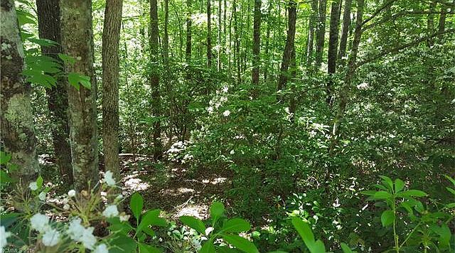 1st image of 21 Sequoyah Woods Dr #21