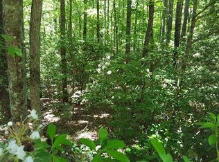 21 Sequoyah Woods Dr #21, Brevard, NC 28712