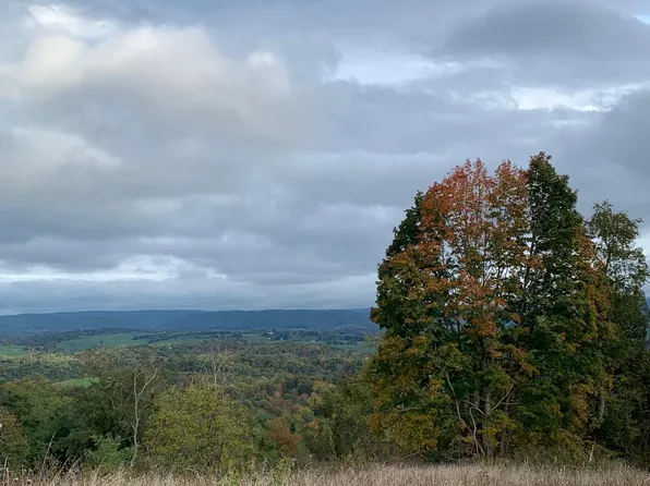 Browns School Rd, Rainelle, WV 25962