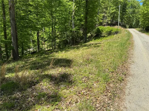 TBD Happy Berry Drive #21, Grassy Creek, NC 28631