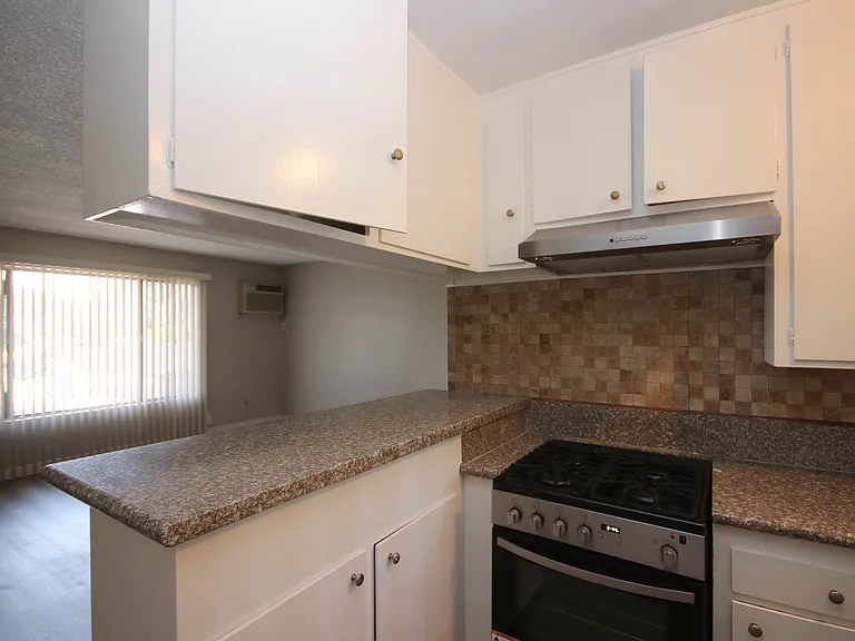 976 E Villa St #11 — Photo 6