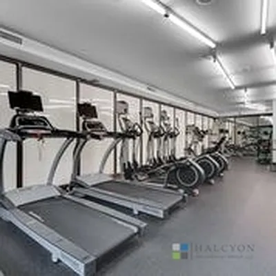 Rented by Halcyon Management Group LLC | media 38