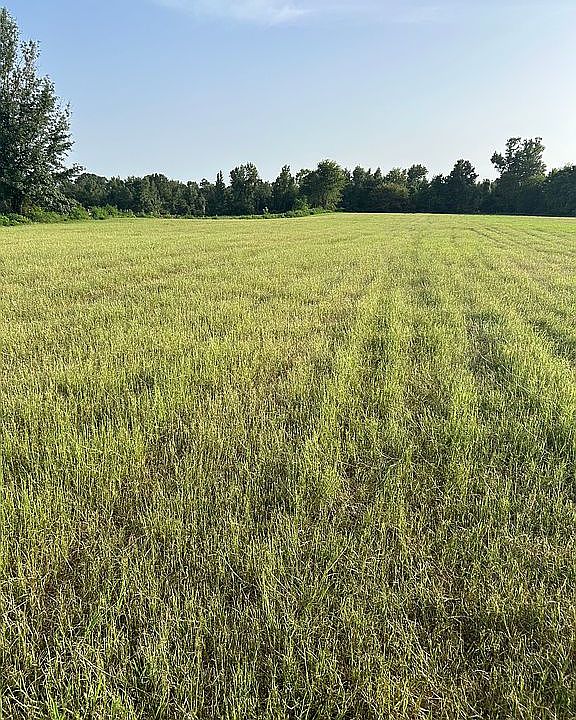 2nd image of 3264 County Road 338