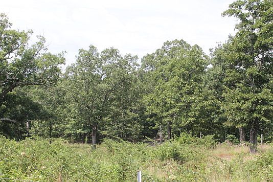 2nd image of 11931 S Highway 19