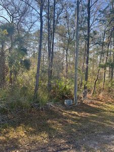 Xx Burnt Pine Loop, Saint Marks, FL, 32355