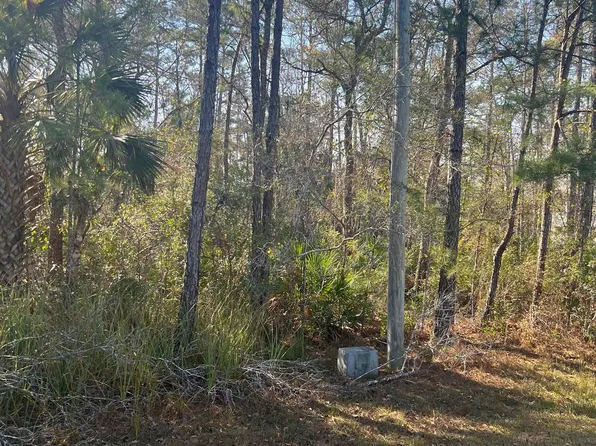 Xx Burnt Pine Loop, Saint Marks, FL 32355