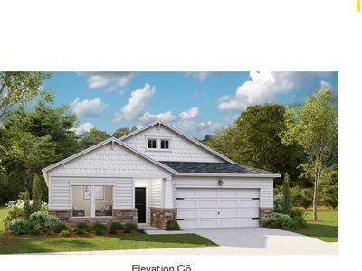 1033 Sagegrass St, Summerville, SC, 29485