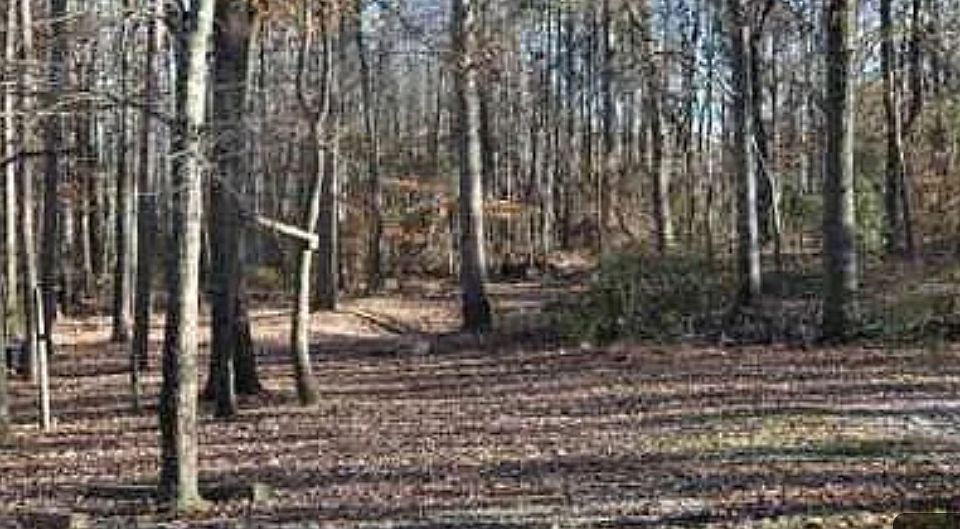 1st image of 0 Highway 124
