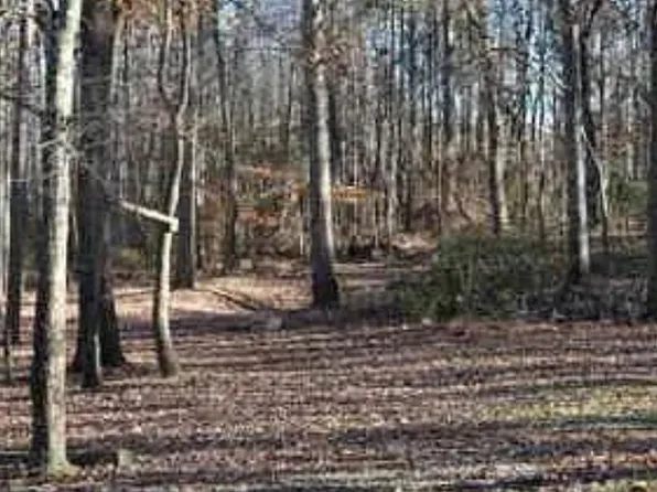 0 Highway 124, Hoschton, GA 30548