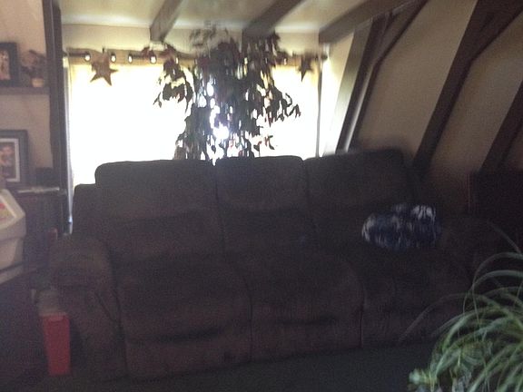 Exposed rafters in the living room