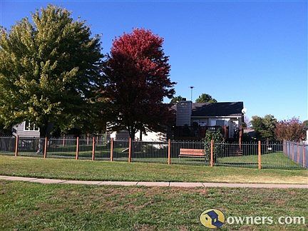 back view of house/trees