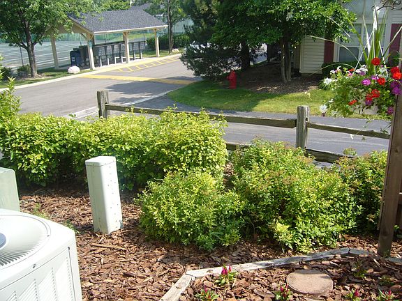 Other side of patio and view from patio