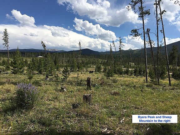 2nd image of 49 Elk Meadows Ln