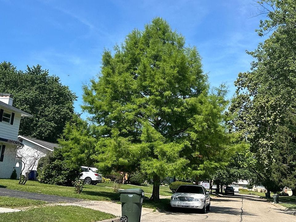 2nd image of 1521 Cypresswood Ct