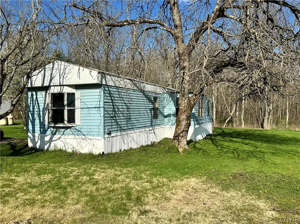 10601 Hulser Rd, Barneveld, NY 13502
