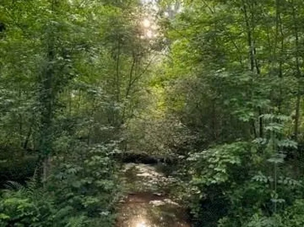 2535B Willow Ln, Social Circle, GA 30025