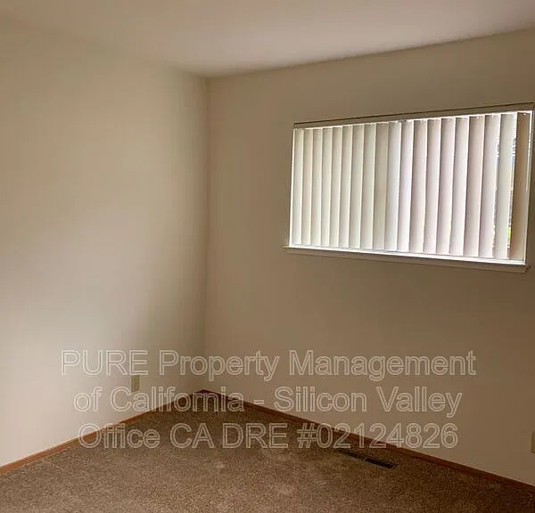 8137 Presidio Dr — Photo 13