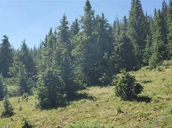 6512 Doyle Road LOT 6512, San Luis, CO 81152