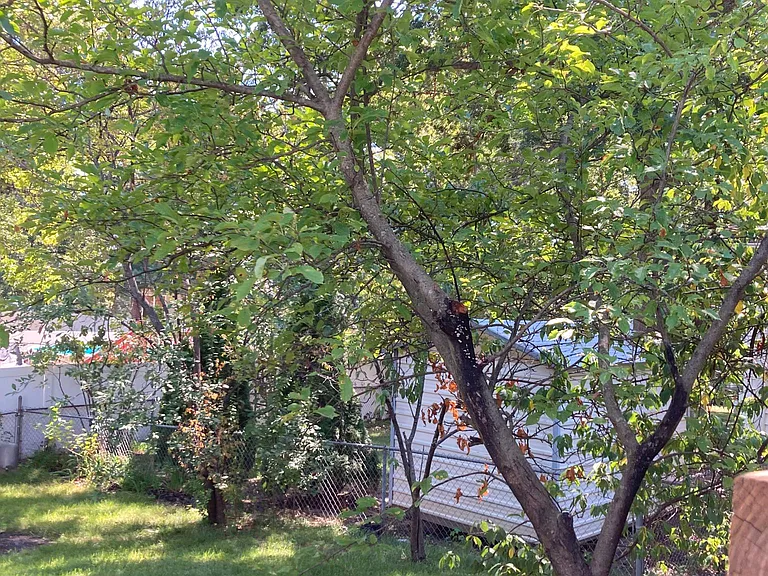 9 Jane Dr — Photo 17