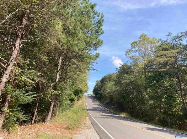 1 County Road 176, Leesburg, AL 35983