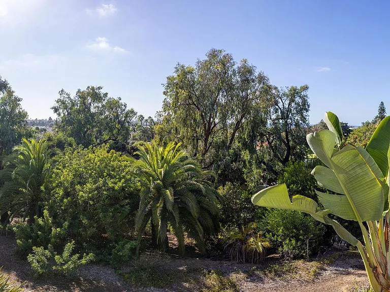 905 Caminito Estrada #A — Photo 6