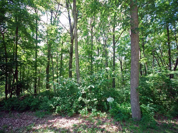 442 Summit Village Trl, White Sulphur Springs, WV 24986