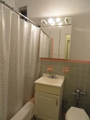 Rented by Manhattan Flats | media 12
