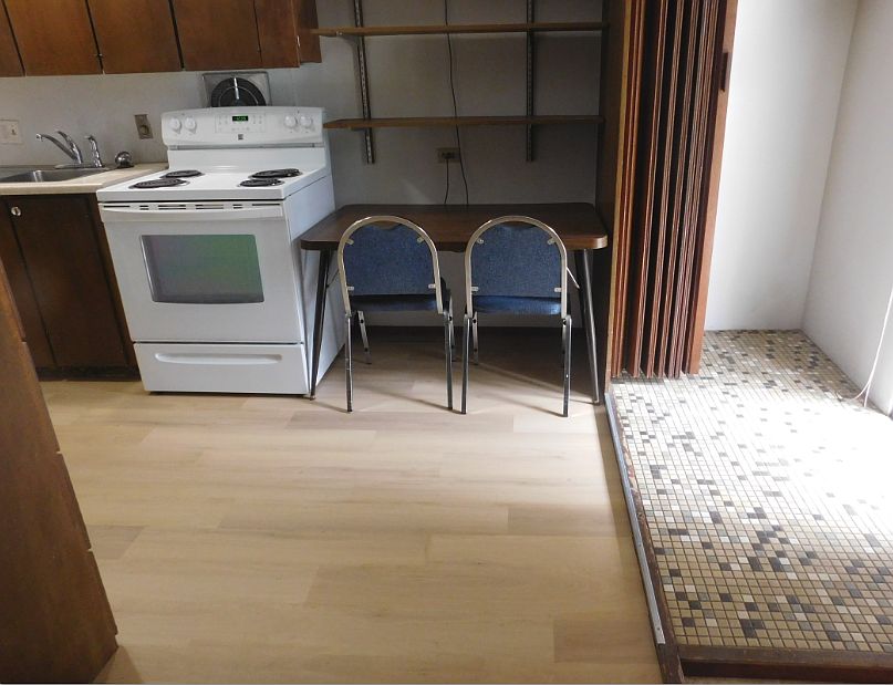 Beautiful new wood look flooring is a sleek contrast to Japanese tile at the entry.