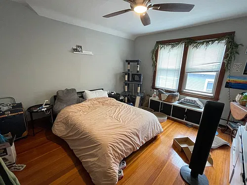 19 Mapleton St #1 Photo 1