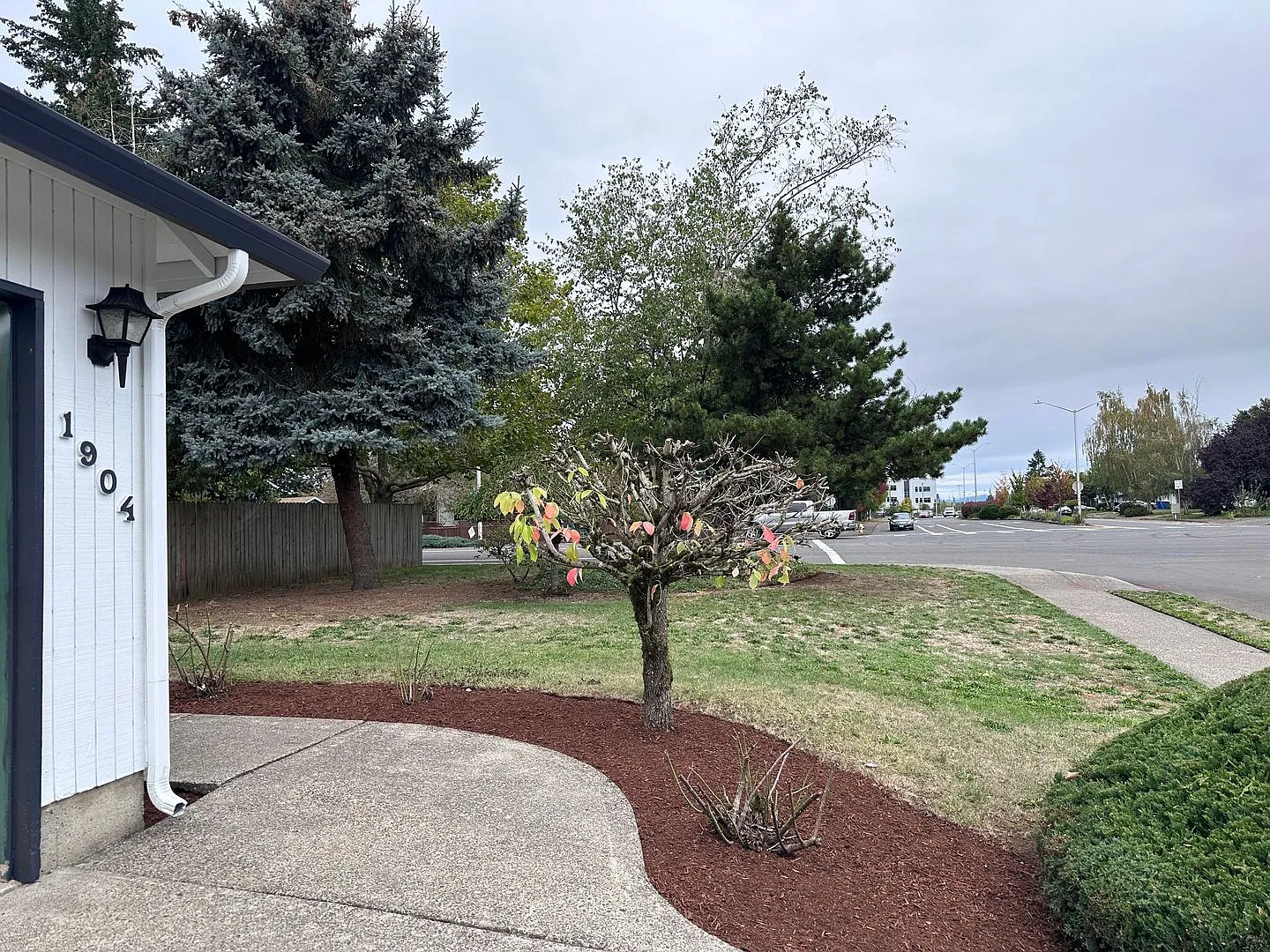 Charming 3 bed, 2 bath house in Cascade SE Neighborhood — Photo 3