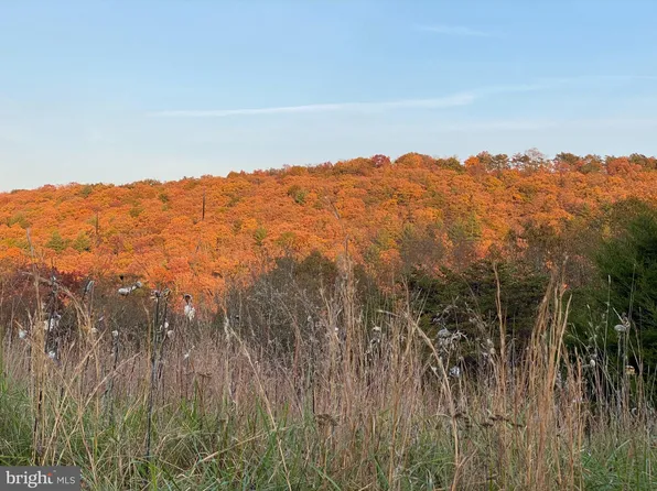 Parker Hollow Rd, Lost City, WV 26810