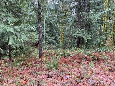 0 Arabian Drive, Brinnon, WA, 98320