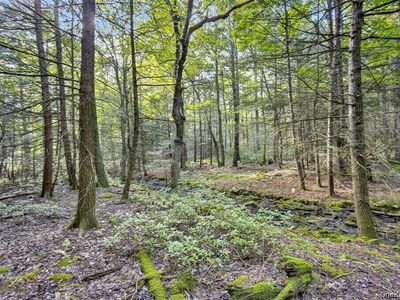 154 Schwabie Turnpike, Kerhonkson, NY, 12446